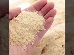 WPC a tuyauté la vente directe d'usine de panneaux de mur ignifuge et étanche à l'humidité