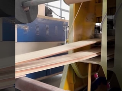 Imperméable de mur de WPC d'usine insonorisée de panneaux et étanche à l'humidité directs