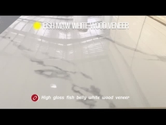 Panneaux muraux intérieurs en PET en marbre