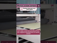 Produit à vendre à chaud 5 mm 8 mm bois grain bois placage bambou charbon de bois PVC panneau mural