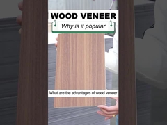 Le bois solide de grain en bois de largeur de la décoration intérieure 1.22m plaquent le panneau de mur de PVC