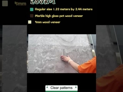 Panneaux muraux de haute qualité écologique panneaux muraux intérieurs en marbre PET